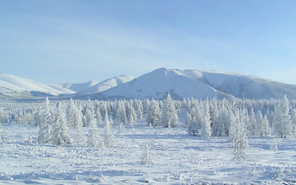I`m Siberian