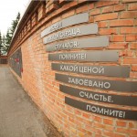 Позитивный вирус