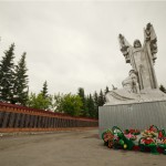 Позитивный вирус