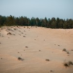 «Сибирь и точка»: Север с признаками юга