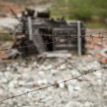 «Сибирь и точка»: Север с признаками юга