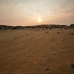 «Сибирь и точка»: Север с признаками юга