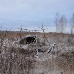«Пространство Сибирь»