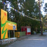 «В парках зелёная функция ушла на второй план»
