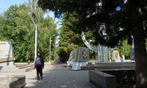 «В парках зелёная функция ушла на второй план»